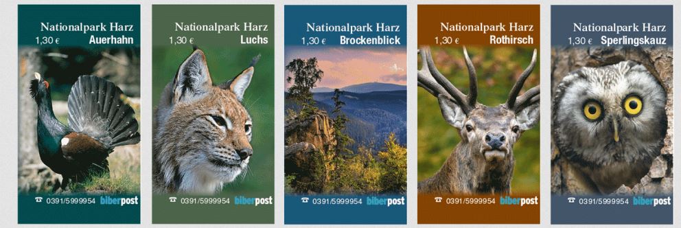 Nationalpark Harz 130 2017 MHinnenseite