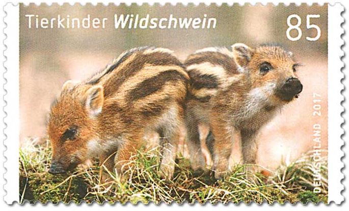 Tierkinder Wildschwein 85 ct Marke
