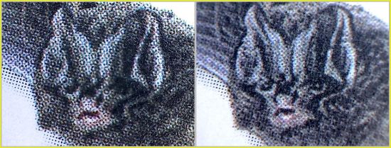 Ausschnitt der Gesichtszüge der Fledermaus – links das Original und rechts die Fälschung mit wesentlich ausführlicher Detailierung der Gesichtszüge ohne die typischen Rosetten