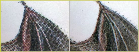 Ausschnitt der rechten Flügelspitze – links das Original – rechts die Fälschung ohne die typischen Rosetten