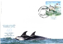 2017 Delfin FDC