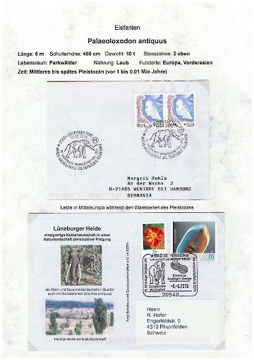 Prähistorische Rüsseltiere